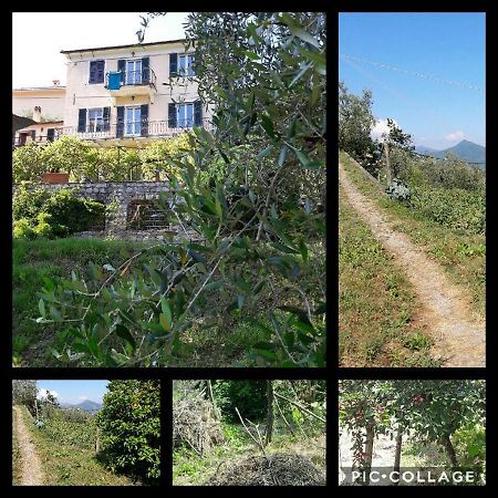 Rural House Rondini Hotel Camposasco Bagian luar foto