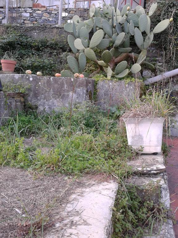 Rural House Rondini Hotel Camposasco Bagian luar foto